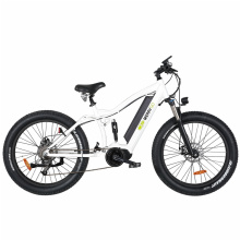 Middle Drive Electric Mountain Bicycle with Fat Tire